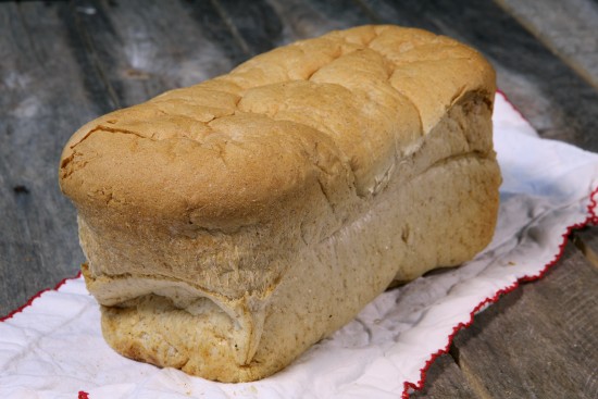 60% whole wheat bread dough